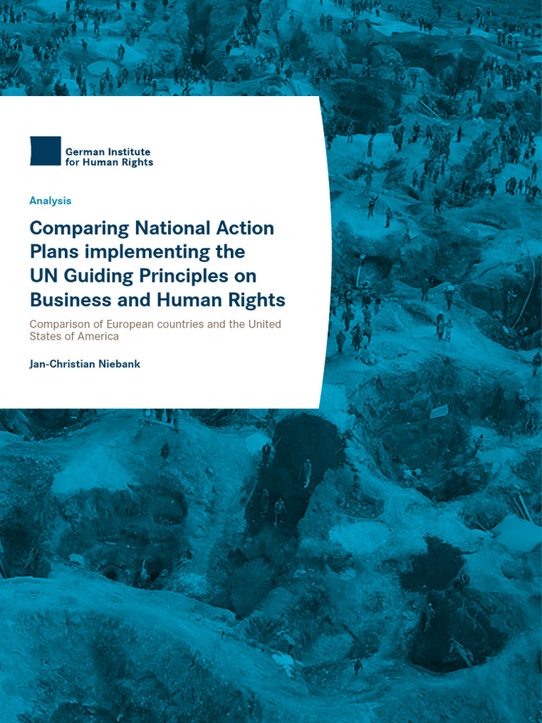 Comparison of National Action Plans on Business and Human Rights | PDF ...
