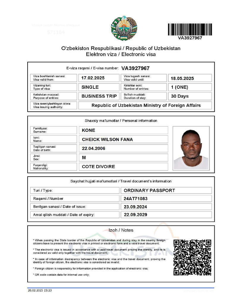 E Visa | PDF