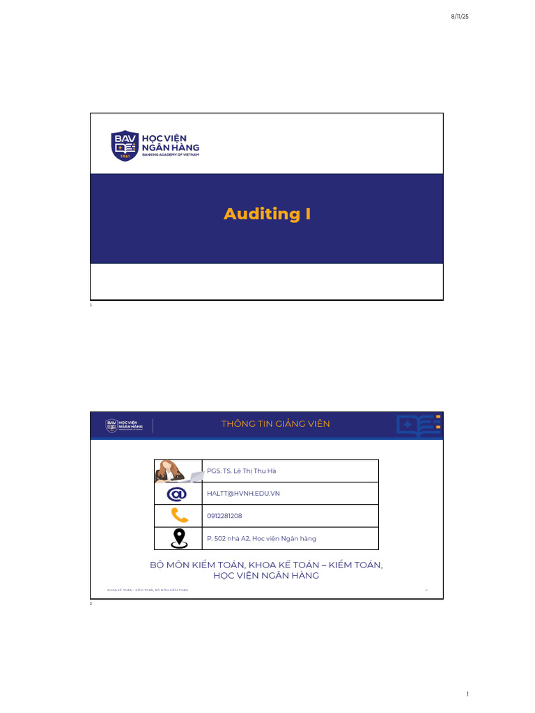 Introduction to Auditing Principles | PDF | Audit | Internal Control