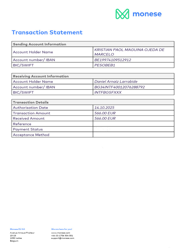 Transaction Statement: Payment Failed | PDF