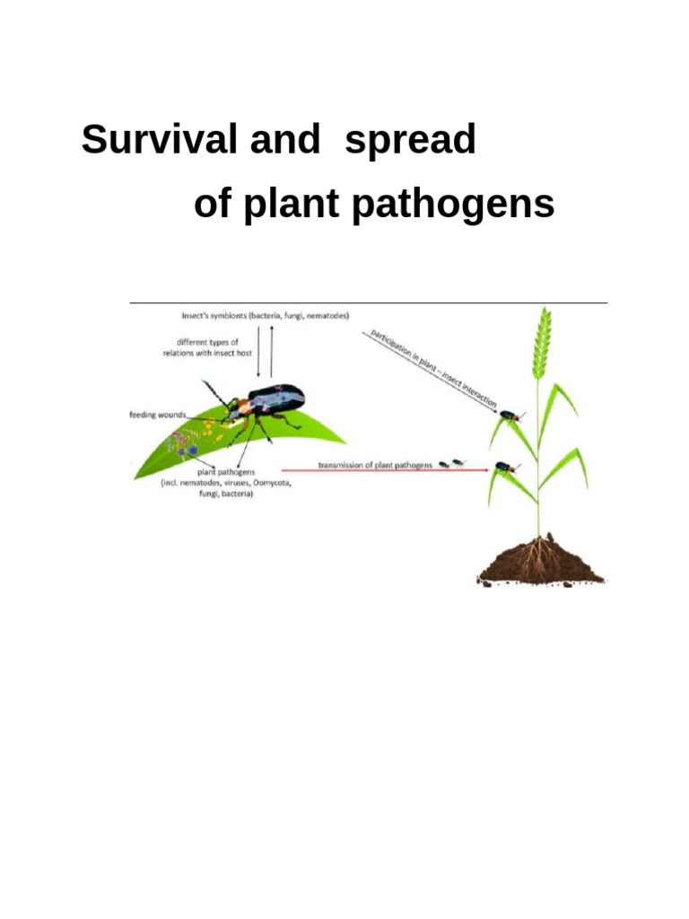 Plant Pathogen Survival and Spread | PDF | Pathogen | Fungus