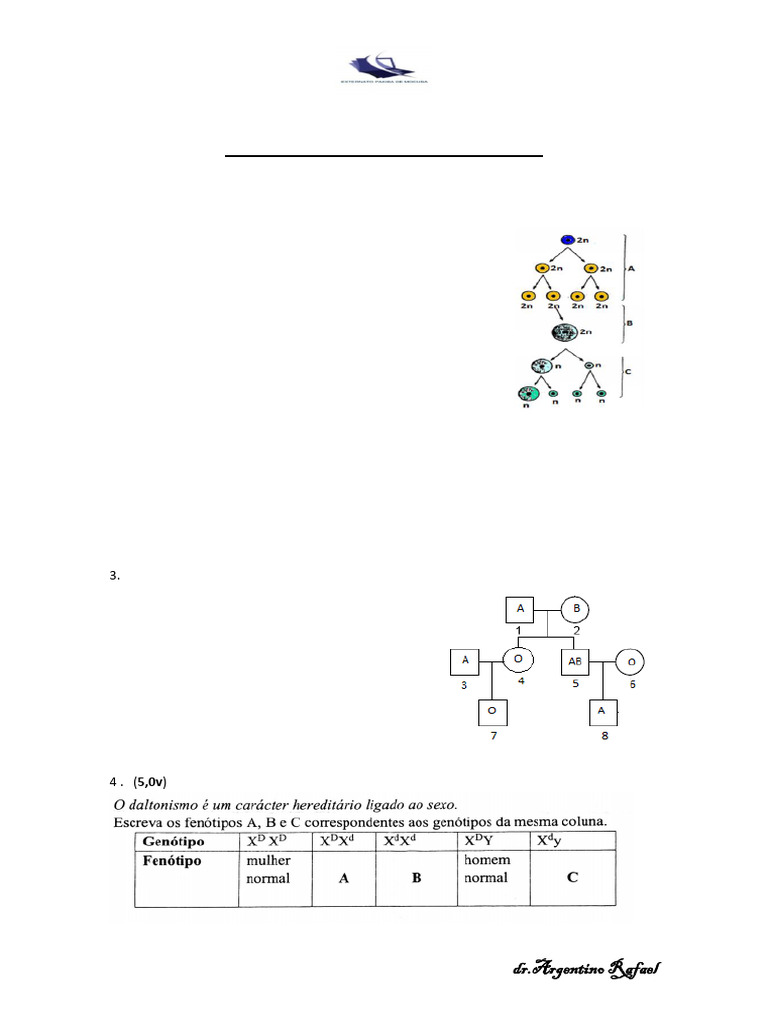 Prova Final BIO PKB | PDF