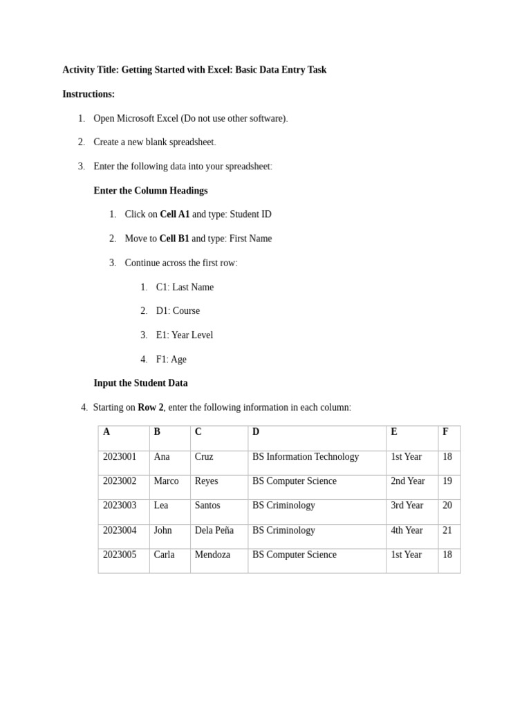 Excel Data Entry Basics Guide | PDF