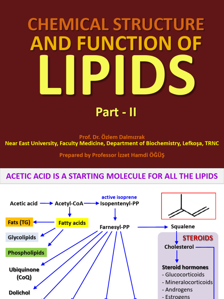 Lipids: Structure, Function, and Types | PDF | Cholesterol | Lipid