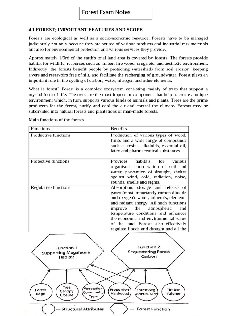 Importance and Functions of Forests | PDF | Agriculture | Deforestation