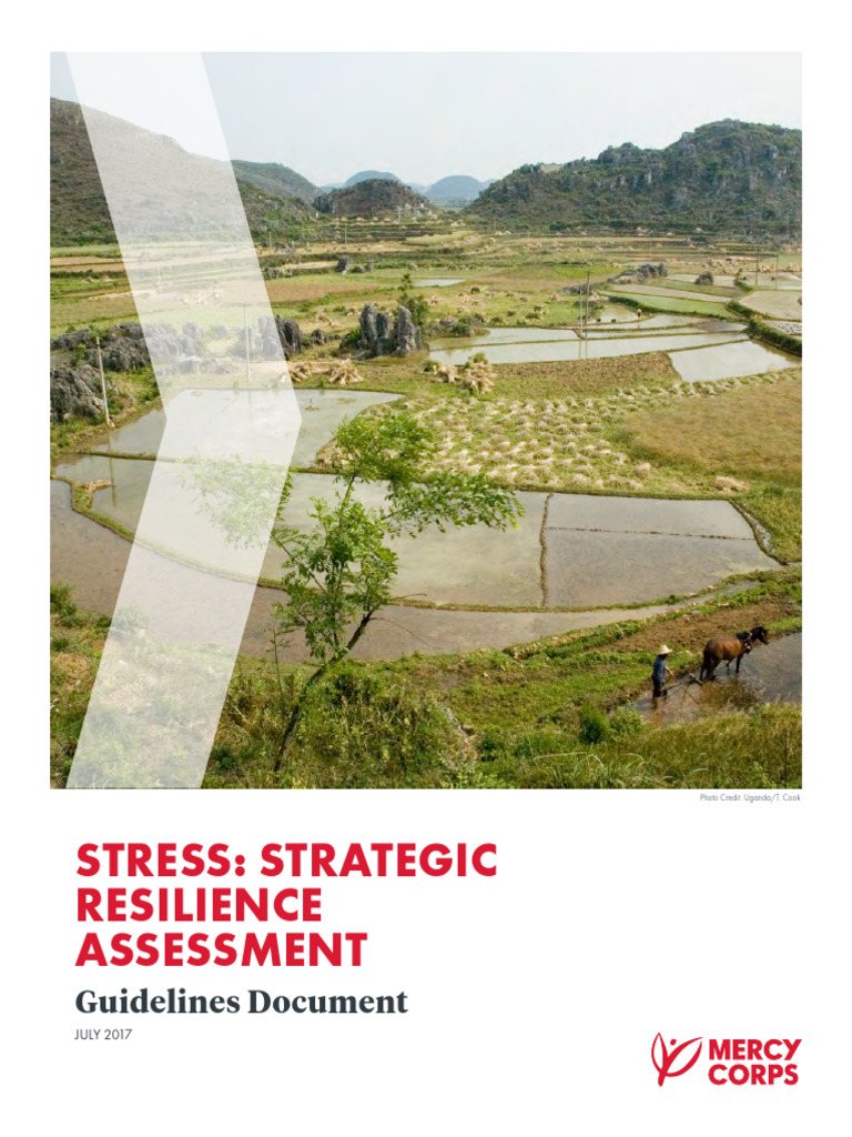 Strategic Resilience Assessment Guide | PDF | Psychological Resilience