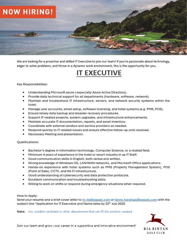 IT Executive Position in Hospitality Industry | PDF