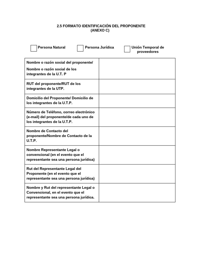 Formato Identificación Del Proponente (Anexo C) | PDF