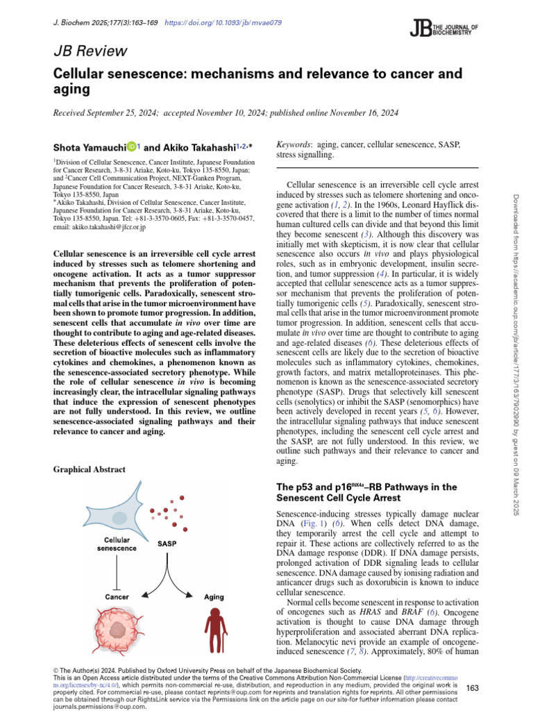 Cellular Senescence: Cancer and Aging Insights | PDF | P53 | Dna Repair