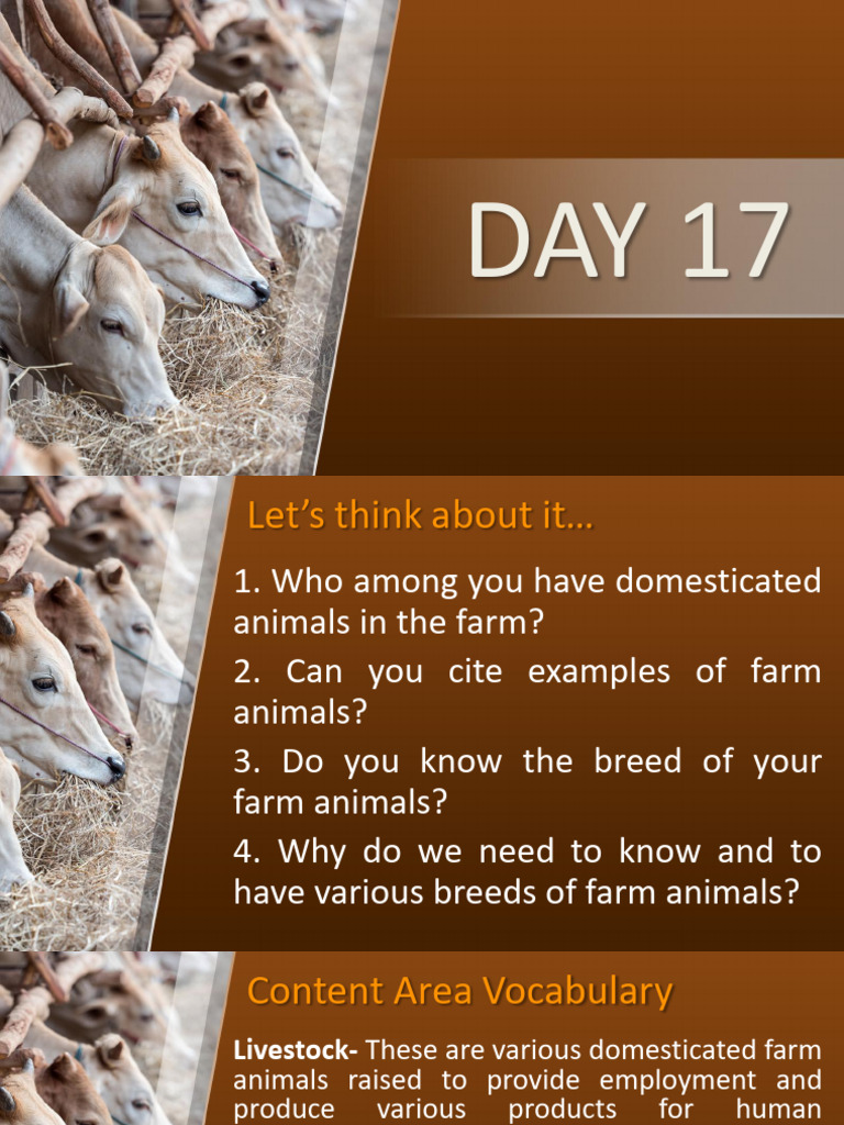 Day 17 20 Breeds of Farm Animals Cattle Swine Goat and Rabbit | PDF ...