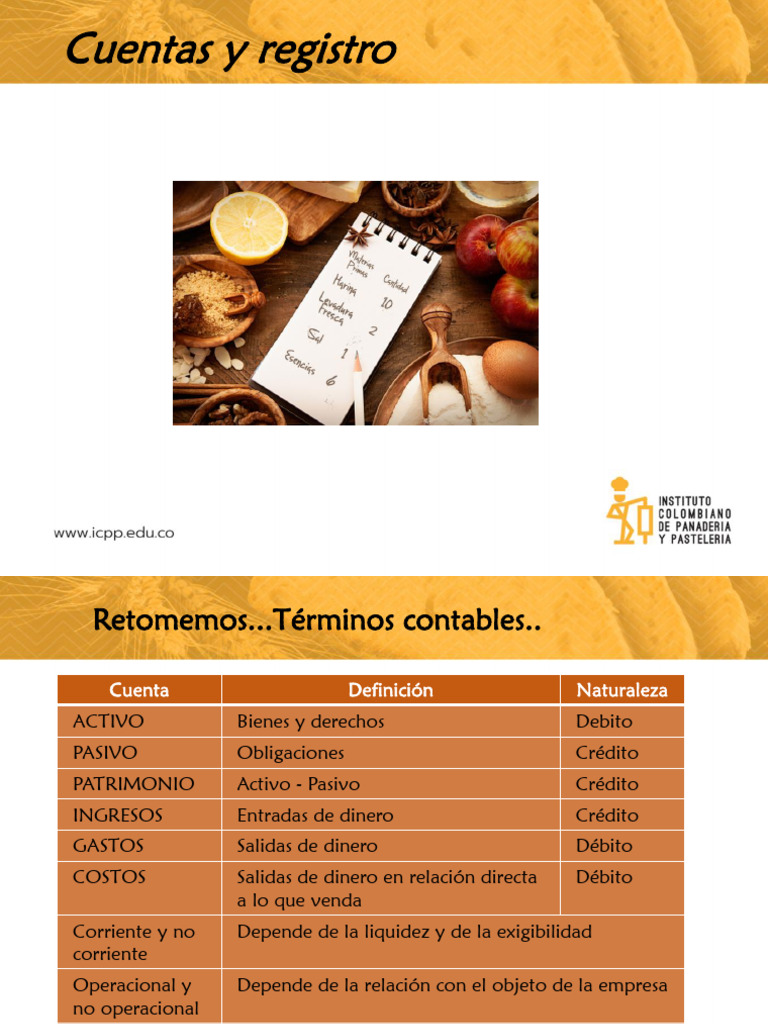 Guía de Cuentas y Registro Contable | PDF | Contabilidad | Negocios ...