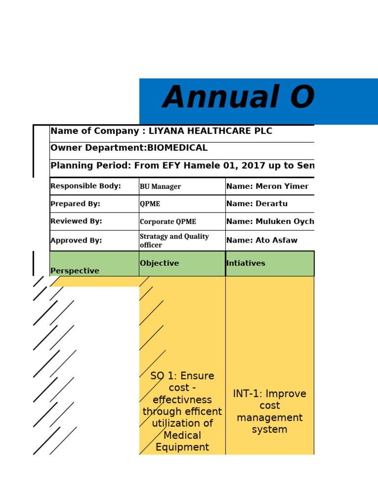 Liyana Healthcare Annual Operational Plan | PDF | Audit