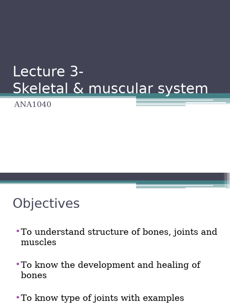 Skeletal and Muscular System Overview | PDF | Bone | Skeleton