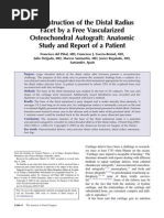 Download Reconstruction of the Distal Radius Facet by a Free Vascularized Osteochondral Autograft Anatomic Study and Report of a Patient by Comunicacin Pial SN93626481 doc pdf