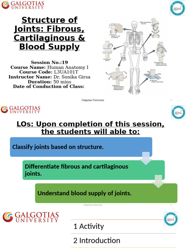 Understanding Joint Structures and Blood Supply | PDF | Cartilage | Joint