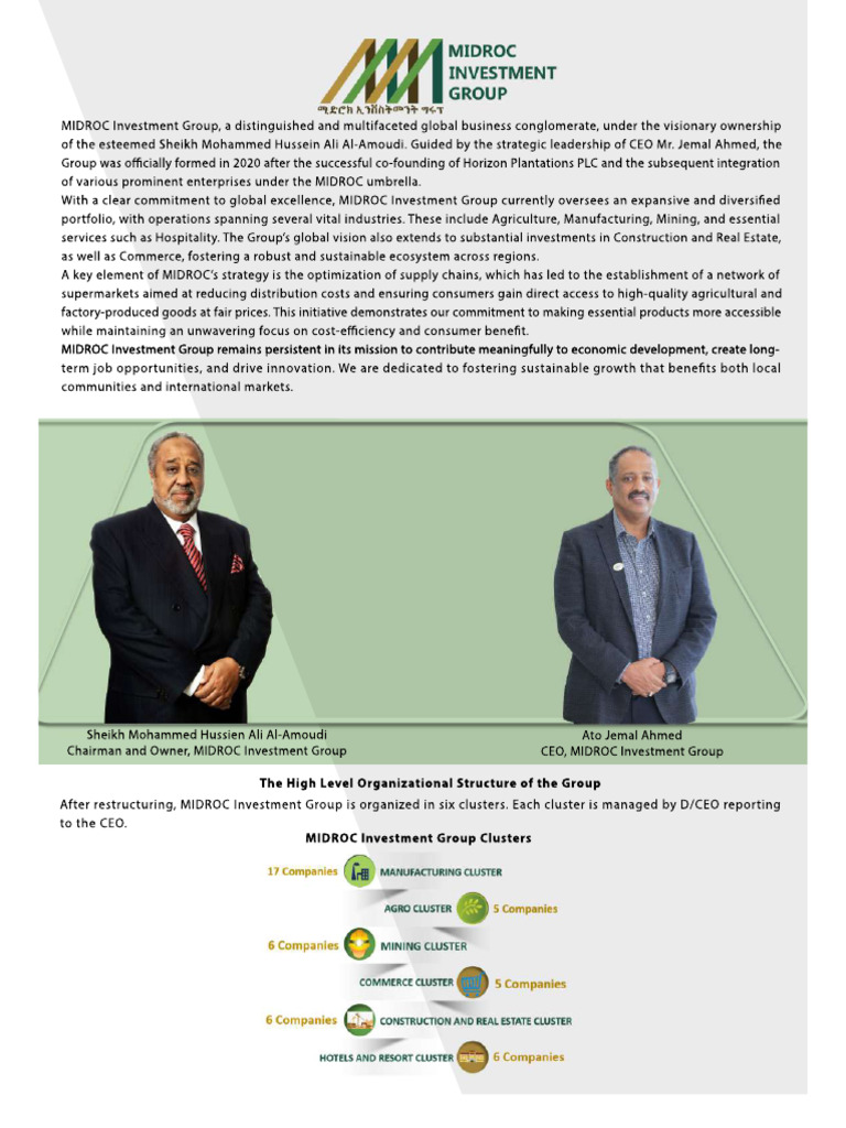 MIDROC Investment Group Overview | PDF | Sodium Carbonate | Mining