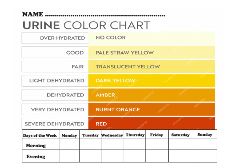 Urine Chart | PDF