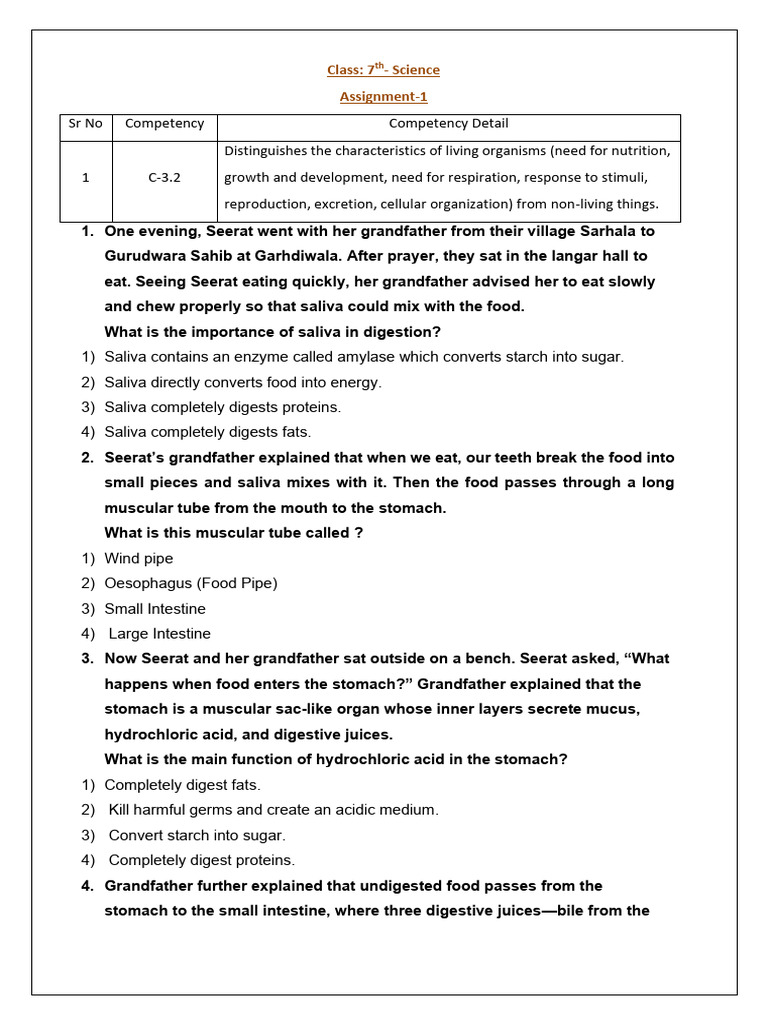 Understanding Human Digestion | PDF | Digestion | Small Intestine