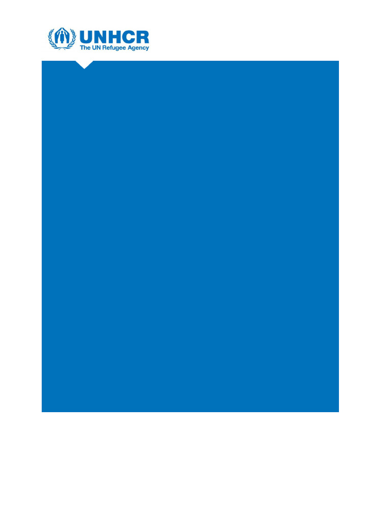 Annual Results 2024: UNHCR Mexico Report | PDF | Refugee | United ...