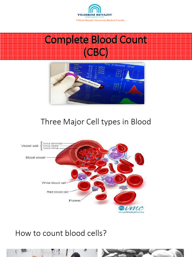 Complete Blood Count (CBC) Overview | PDF | Red Blood Cell | Anemia