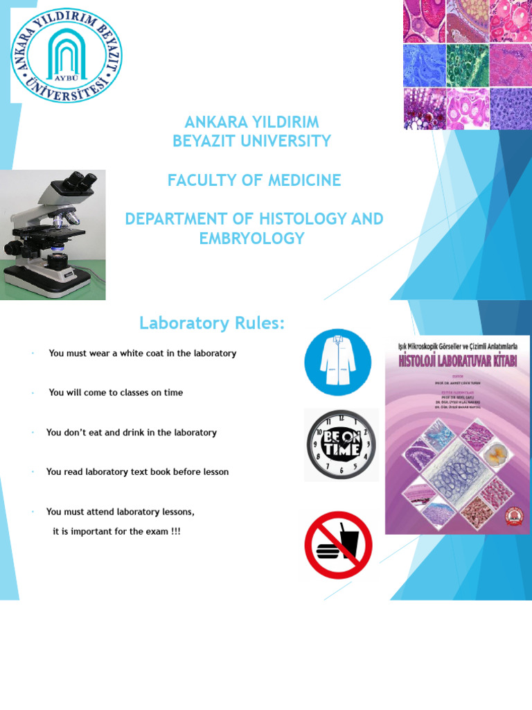 Histology and Embryology-Light Microscope | PDF | Staining | Histology