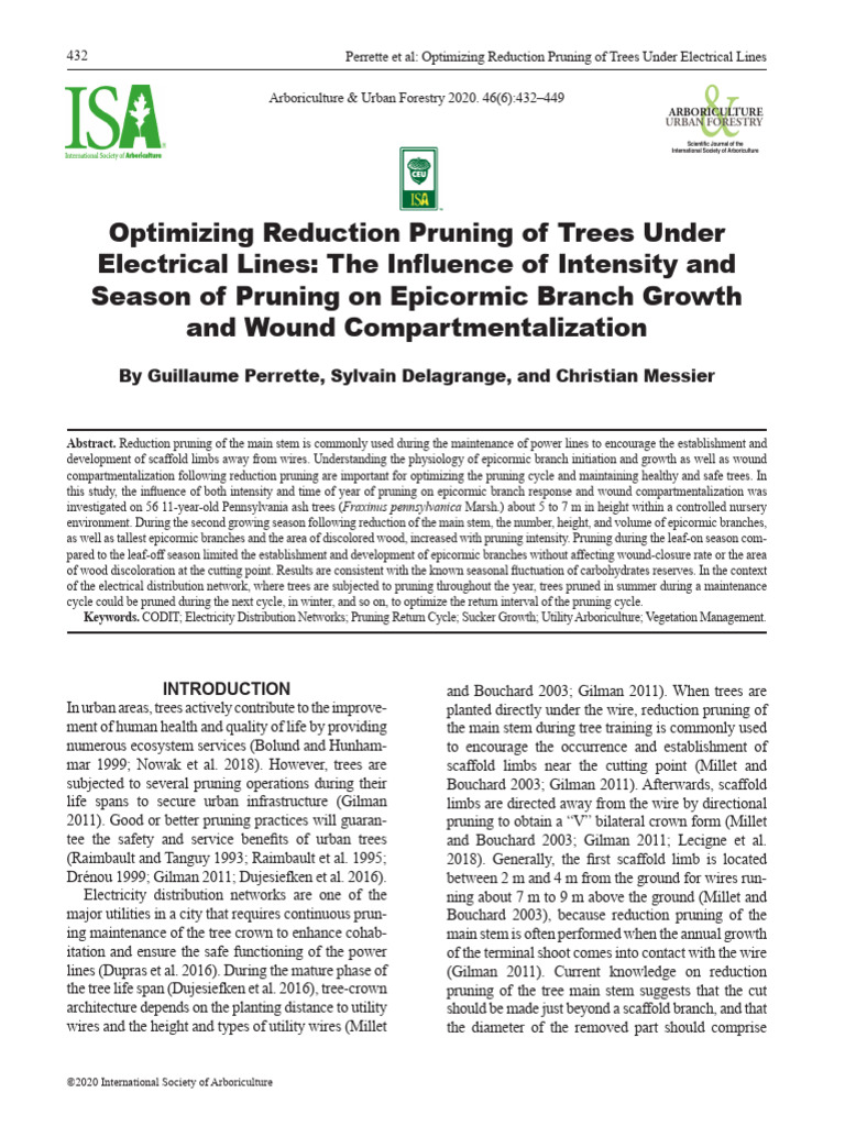 Pruning Trees Near Power Lines: Best Practices | PDF | Pruning | Area