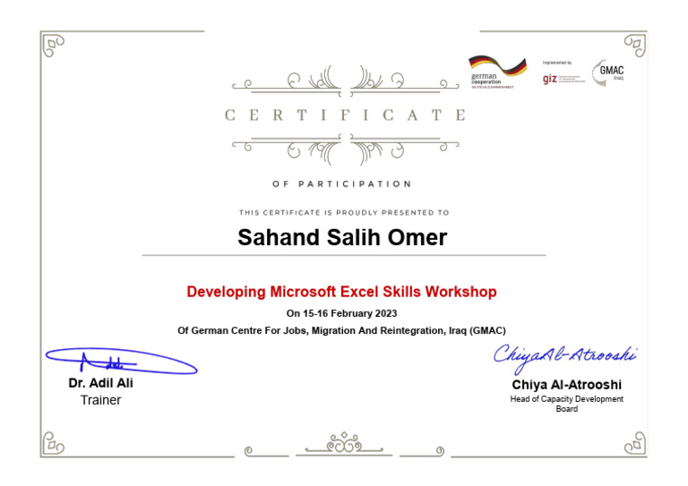 Excel Skills Workshop in Iraq | PDF