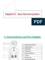 Kapitel IV Hormonsystem