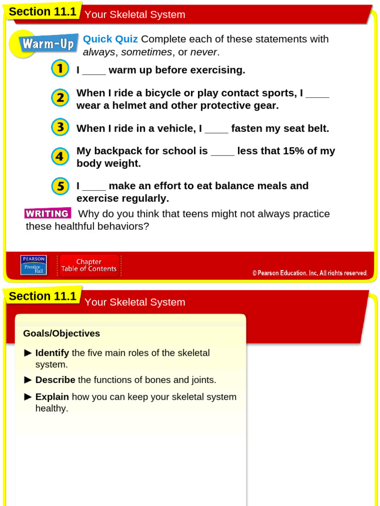 Skeletal System - Lesson 19 | PDF | Bone | Skeleton