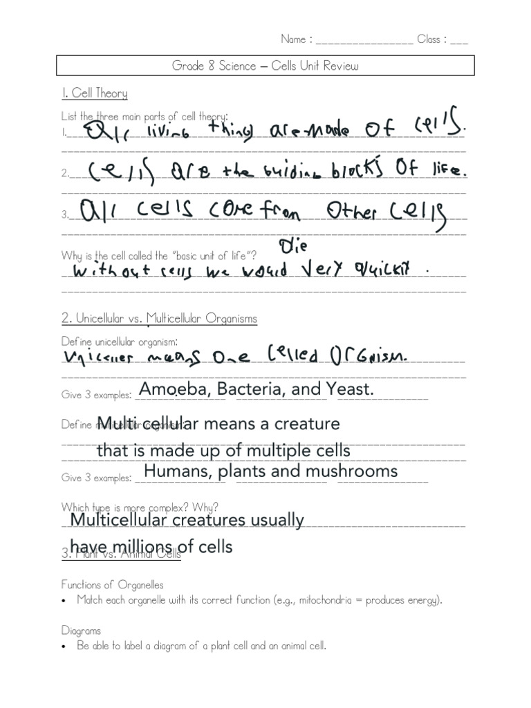 Grade8 Science Cell Review | PDF