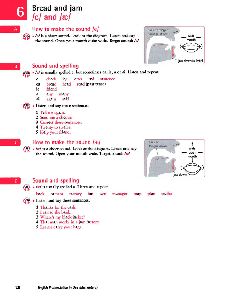Unit 6 | PDF