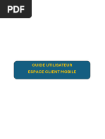 Guide d'utilisation de BMCE Direct | PDF | Virement bancaire | Banques