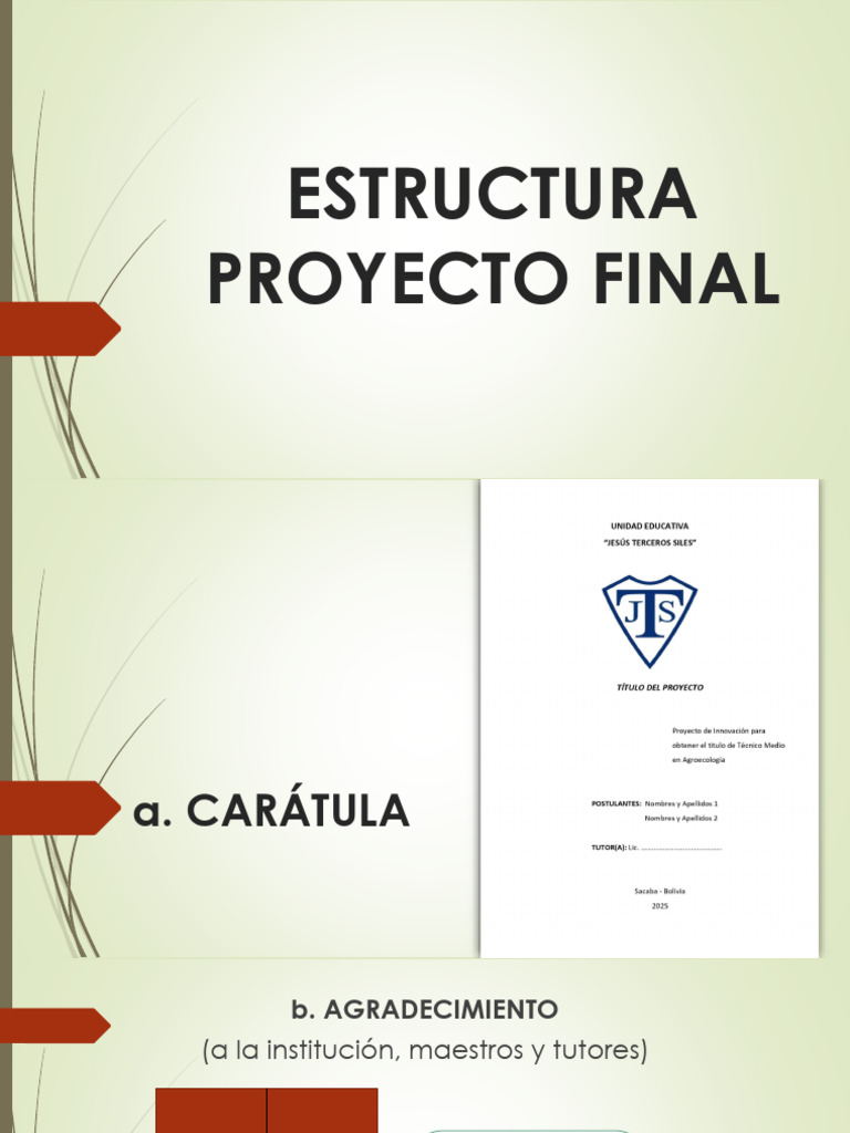 Estructura del Proyecto Final Académico | PDF