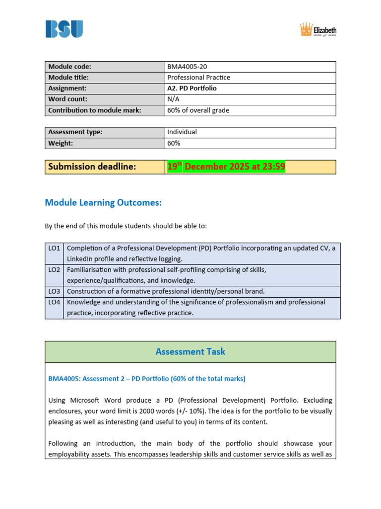 Professional Development Portfolio Guide | PDF | Leadership | Cognition