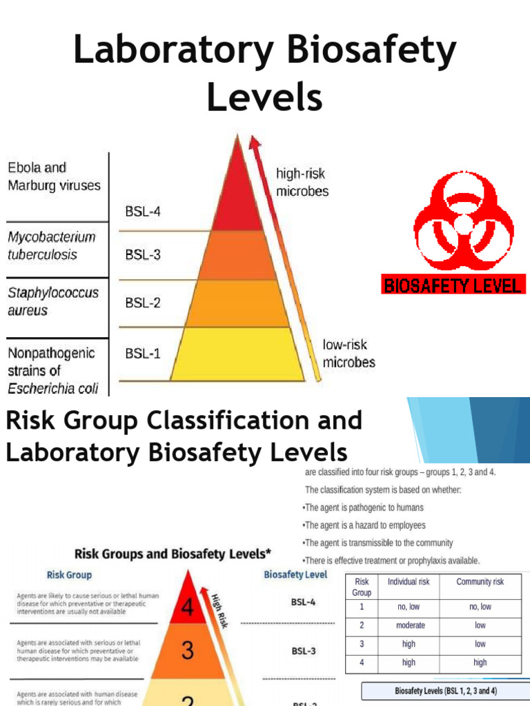 Biosafety Levels and Risk Group Overview | PDF | Infection | Public Health