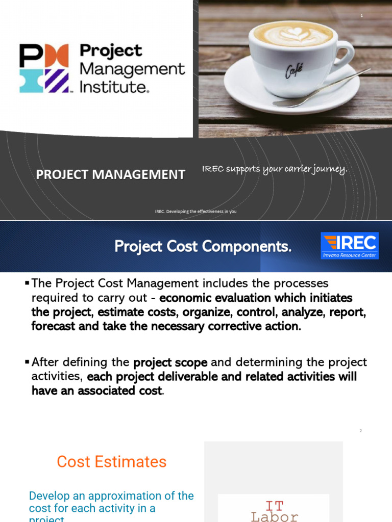 Project Cost Management Essentials | PDF | Project Management | Business