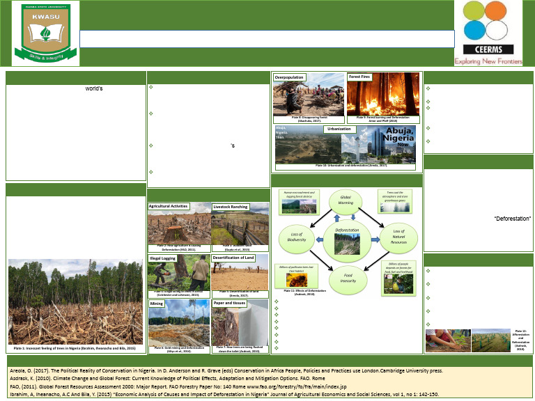 Environmental Impact of Deforestation in Nigeria | PDF | Deforestation ...