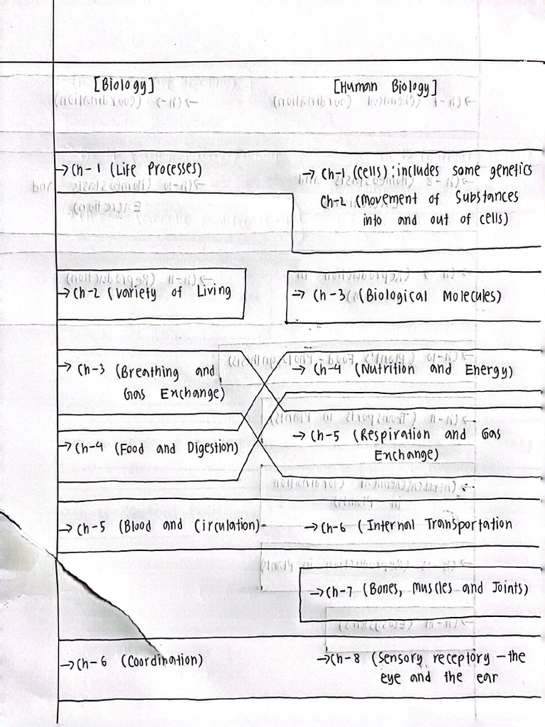 Edexcel IGCSE Bio & H.bio Syllabus | PDF