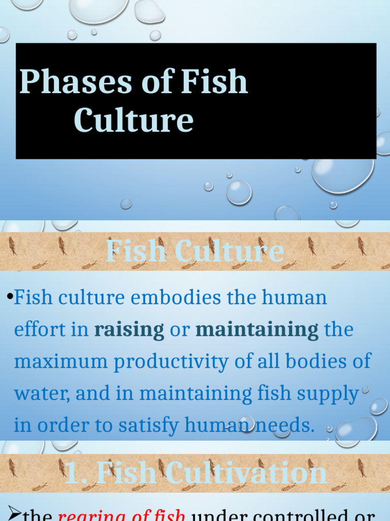 Phases of Fish Culture Explained | PDF | Fish | Aquatic Ecology