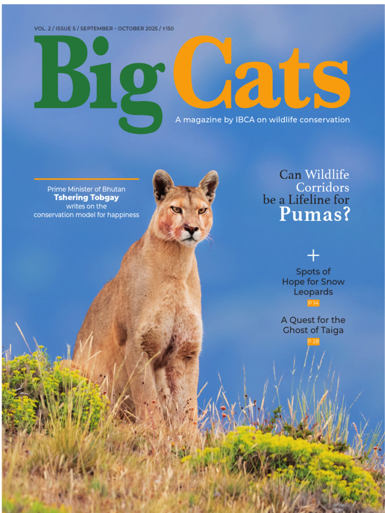 Visual Reference: 2025 Weckworth Big Cats Magazine Sep Oct2025 Spotsofhope