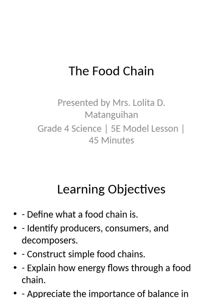 Grade 4 Food Chain Lesson Plan | PDF