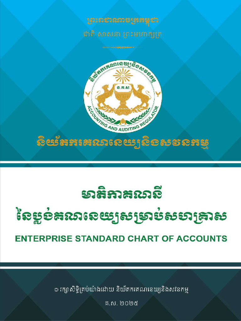 Enterprise Standard Chart of Accounts | PDF