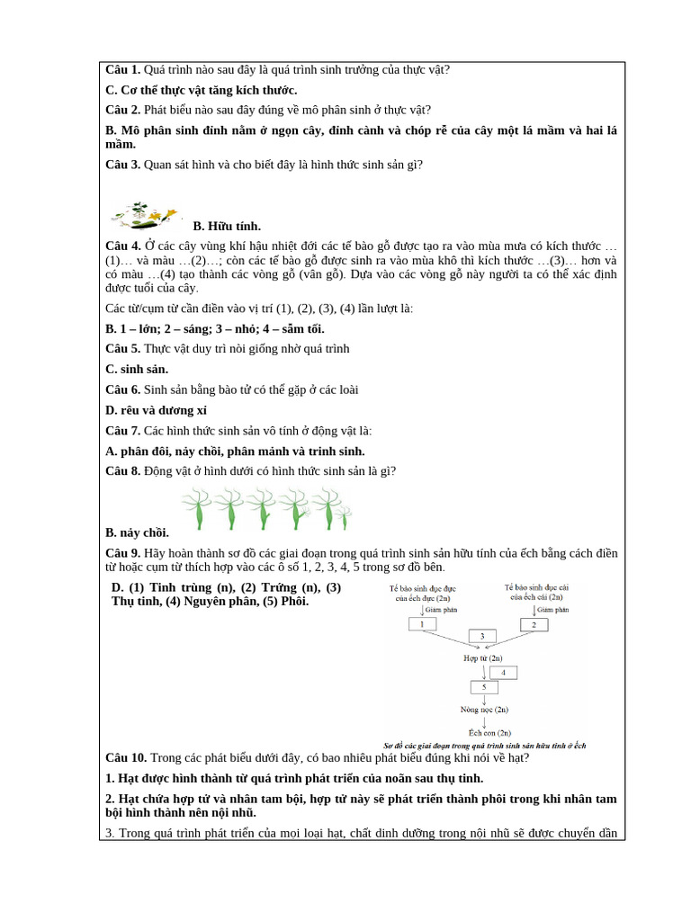 Sinh | PDF