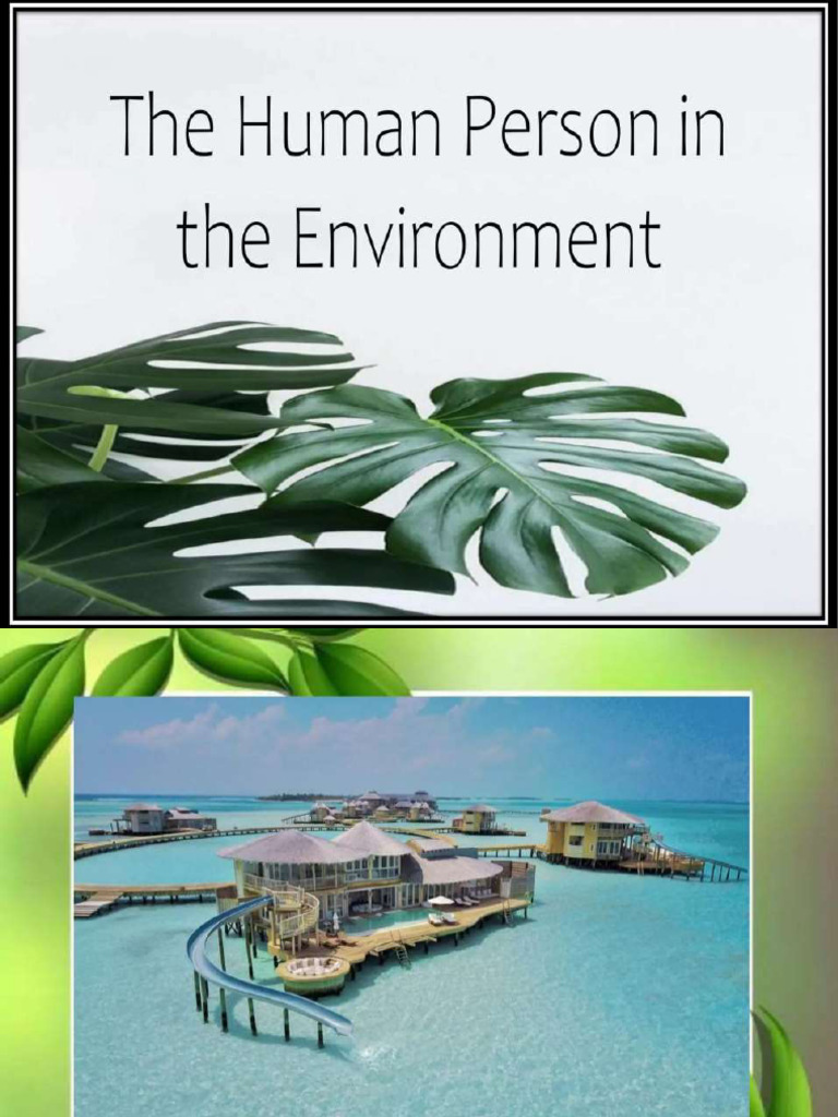 The Human Person in The Environment | PDF