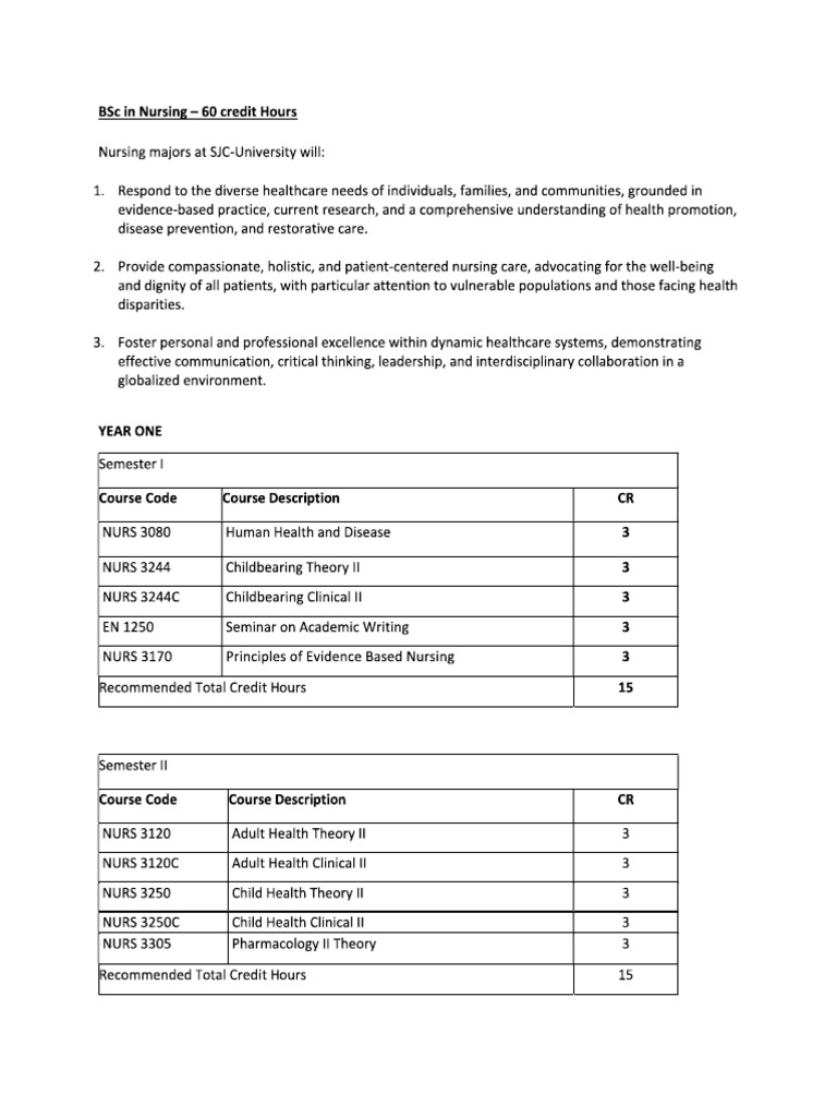 SJC BSN Program | PDF