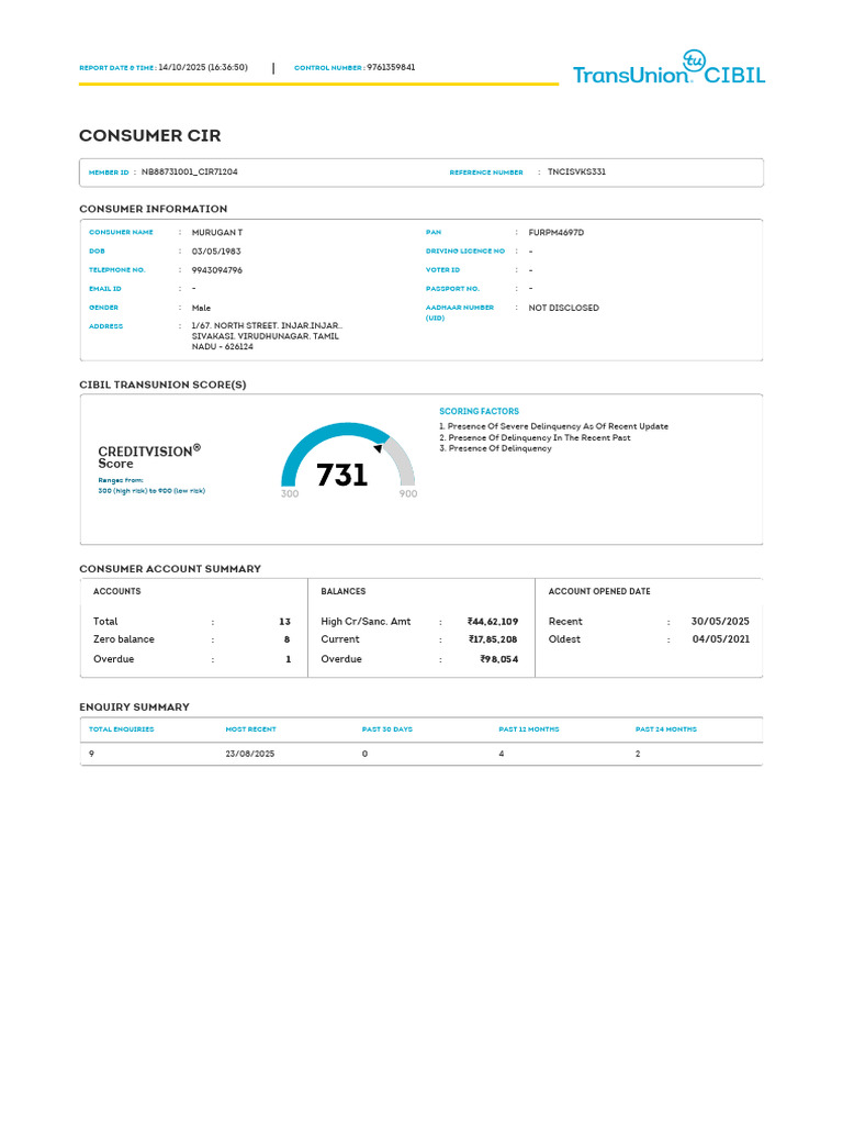 Consumer Credit Report Summary | PDF | Loans | Annual Percentage Rate