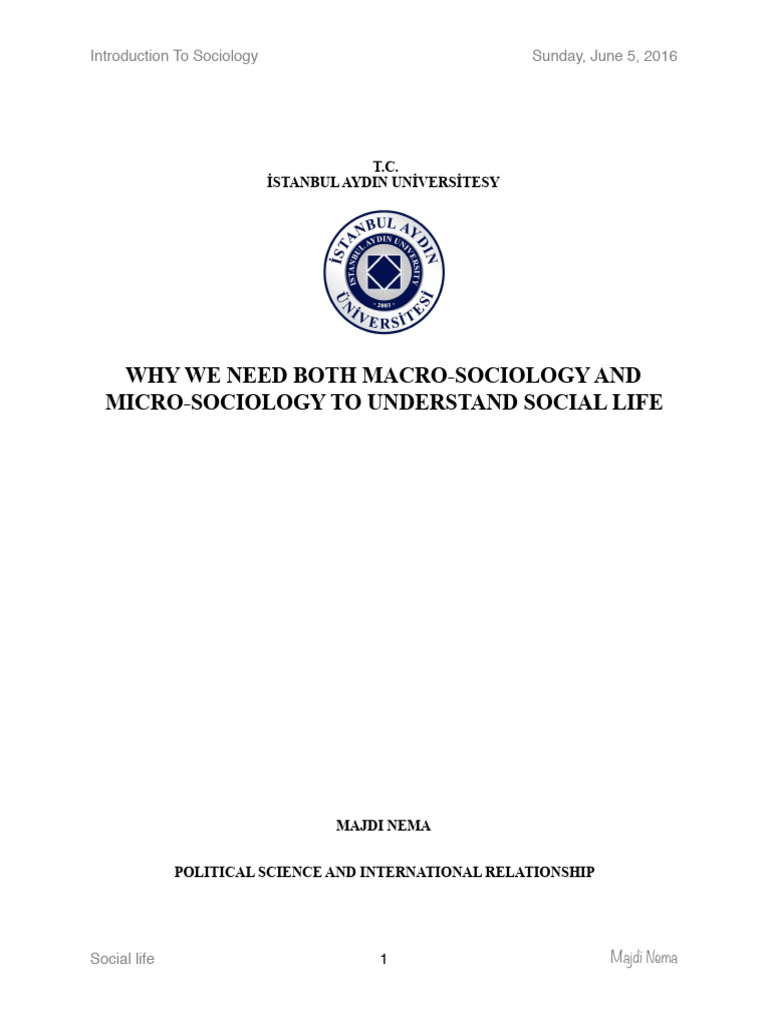 Macro vs Micro Sociology Explained | PDF | Sociology | Society
