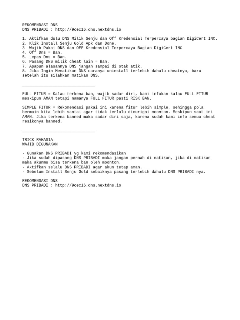 Rekomendasi DNS Aman untuk Cheat Game | PDF