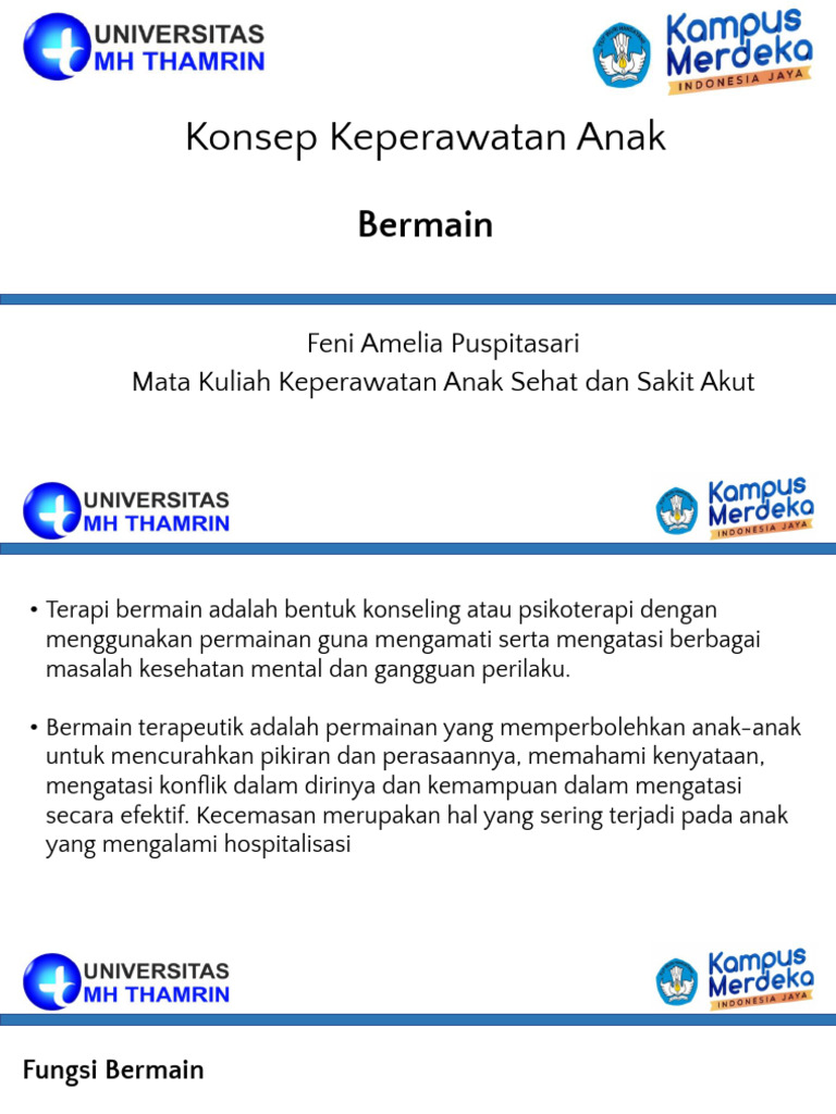 Feni-Konsep Bermain Anak | PDF