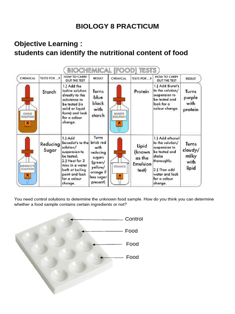 Food Nutritional Testing Practicum | PDF